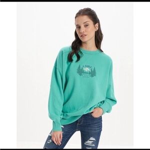 A. Eagle Green Graphic Sweatshirt